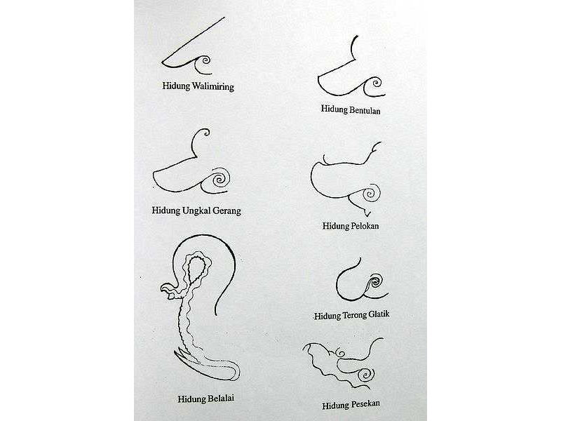 nose types-sunarto-95